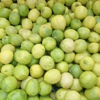 خانم و آقا کار درمیوه فروشی