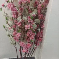 شکوفه های بهاری وبوته گل