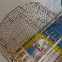 قفس پرنده بسیار عالی و محکم