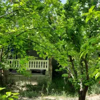 باغچه-700-متری-چهاردیواری