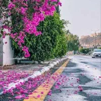 تور یک روزه سپیدان و بهشت گمشده بانوان شیرازی