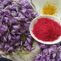زعفران اصل درجه یک  ضمانتی