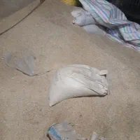جو دیم ابدر