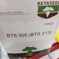 بذر چغندر درجه یک