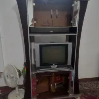 تلویزیون