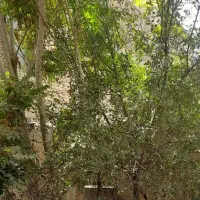 فروش ملک ۲۰۰ متری دو واحدی با قابلیت در آمد زایی