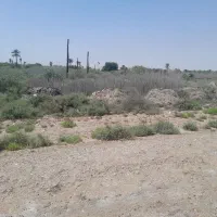 فروش زمین جزیره مینو مینو شهر ۱۵هزار متر