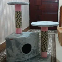 خانه گربه ( اسکرچر)