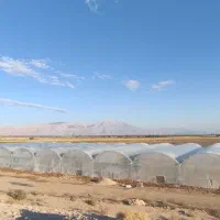 فروش-نیم-هکتار-گلخانه-حاجی-اباد-روستای-سیدجوذر