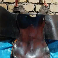 زین انگلیسی