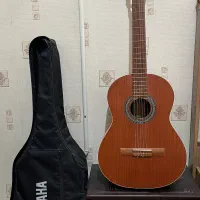 گیتار پارسی p40