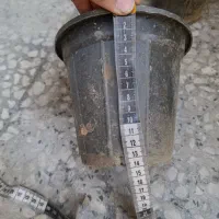 گلدان پلاستیکی