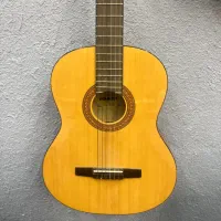 گیتار هورنر المانی اصل
