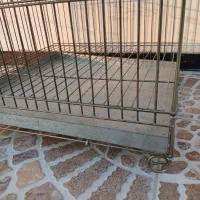 قفس بزرگ اصلی