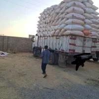 کاه گندم دیم کیسه شده