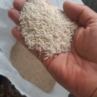 برنج ایرانی هاشمی ممتاز*کشاوزهستم ارسال رایگان