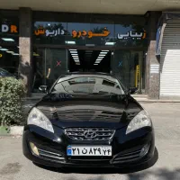 استخدام نقاش / لیسه گیر