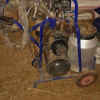 شیر دوش کاملا تمیز  و در حد نو