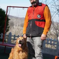 مربی مشاور تربیت سگ تلفنی