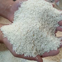 نیم دانه هاشمی