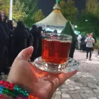 تورمشهدمقدس به مدیریت عباس زاده