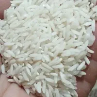 برنج هاشمی درجه یک
