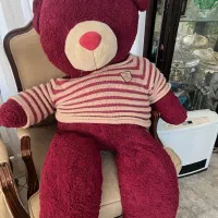 فروش خرس بزرگ پولیشی