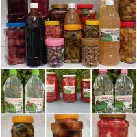 محصولات خانگی ماهلین