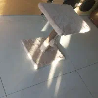اسکرچر