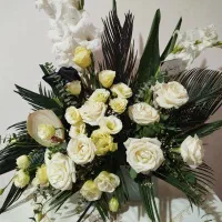 گل رومیزی