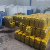 استخدام نیروی کار دائمی در کارگاه زیتون طارم زنجان