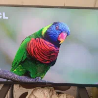 الیدی نکسار ۳۳ انیج دیجیتال داخلی فلشخور درعدنو