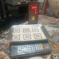 ترازو 30 کیلویی پند مدل 6000