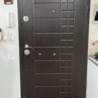 در ضد سرقت