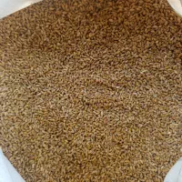 گندم بذزری بو‌جاری شده مهرگان