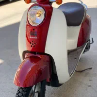 پاکشتی اسکوپی