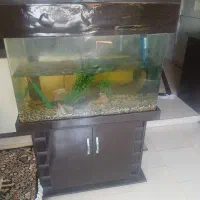 آکواریوم شیشه خم