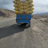 خریدوفروش کاه گندم جو و عدس