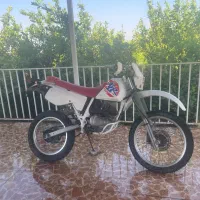 Xl200 برگ سبز در حد صفر