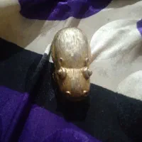 اسب ابی