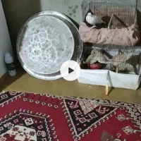 ساعت فروشی
