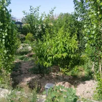 350-متر-باغ-چهار-دیوار-در-شهریار