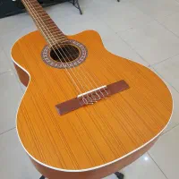 گیتار پارسی در همه مدل