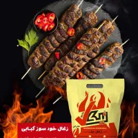استخدام