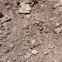 کود حیوانی گوسفندی