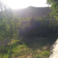 باغ دور دیوار