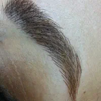 مدل ابرو و لب جهت تکمیل آلبوم(میکروپیگمنتیشن)