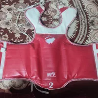 هوگو تکواندو