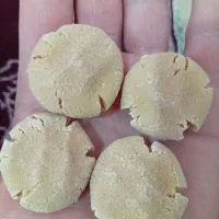 کشک گوسفندی