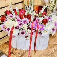 جشنواره فروش ویژه گل گلکده ارکیده